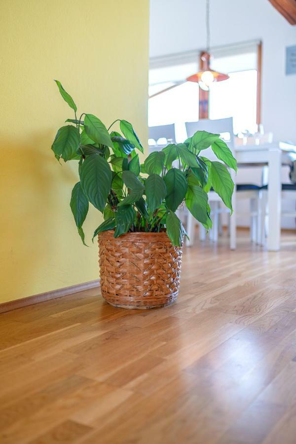 Apartman Skroza Vodice Bagian luar foto
